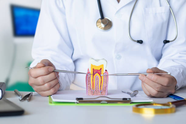 Best Emergency Dentist for Lost Fillings or Crowns in Oliver Springs, TN